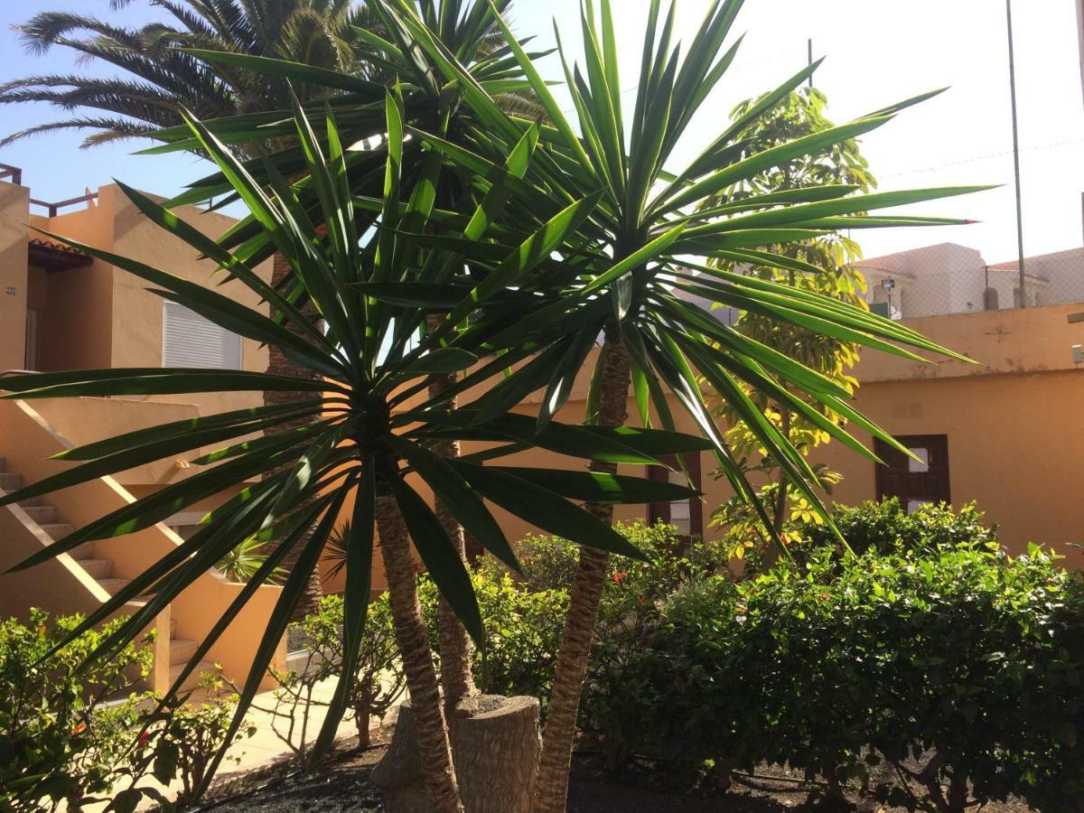 Lasvistas Corralejo Ngoại thất bức ảnh